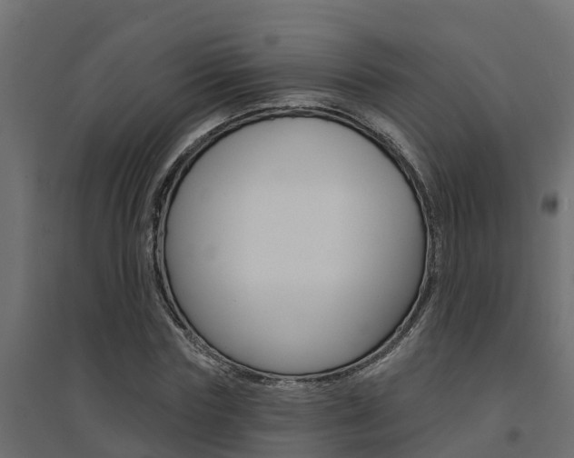 X0000094900827200711291020