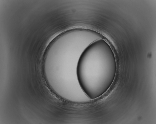 X0000094900829200711291020