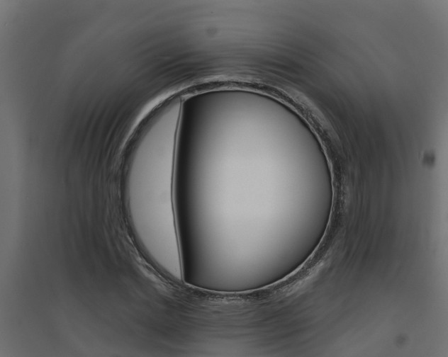 X0000094900830200711291021