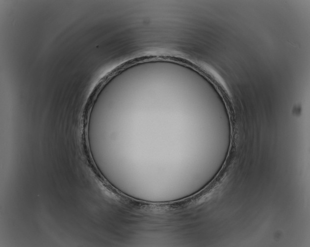 X0000094900831200711291021