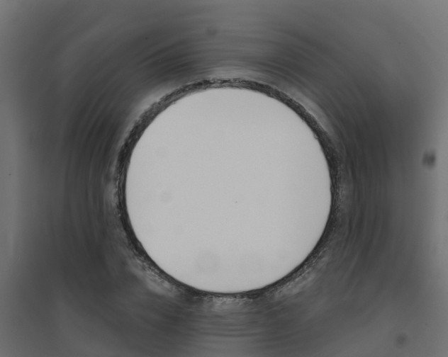 X0000094900832200711291021