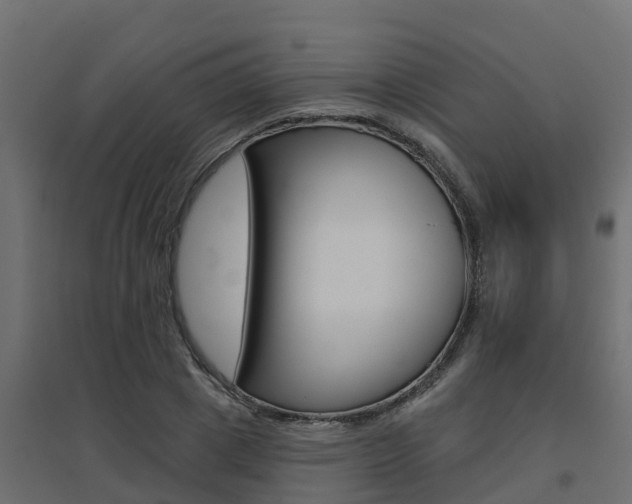 X0000094900833200711291021