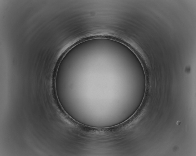 X0000094900834200711291021
