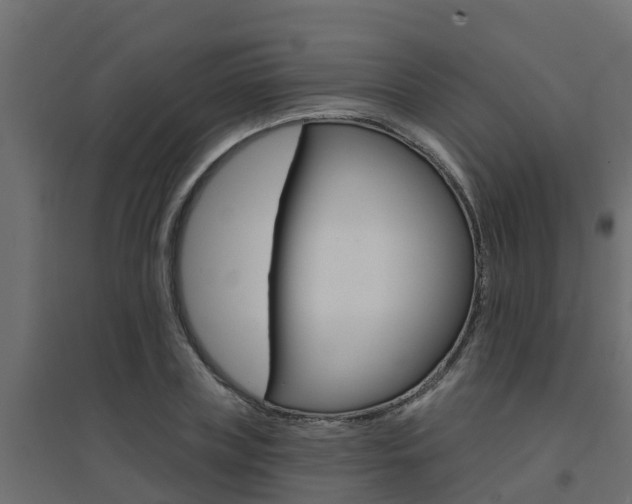 X0000094900835200711291021