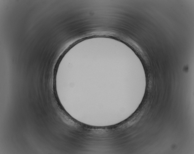 X0000094900836200711291021