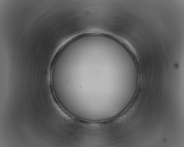X0000094900839200711291021