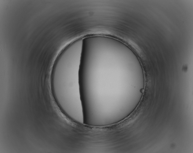 X0000094900840200711291021