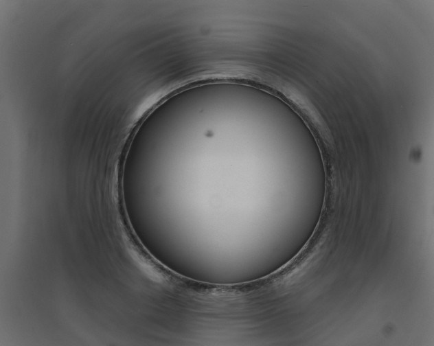 X0000094900842200711291021