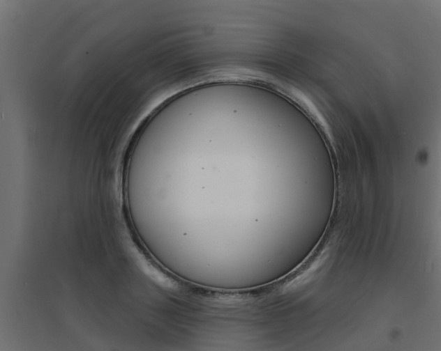 X0000094900843200711291021
