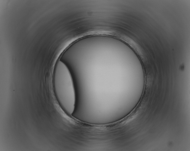 X0000094900844200711291021