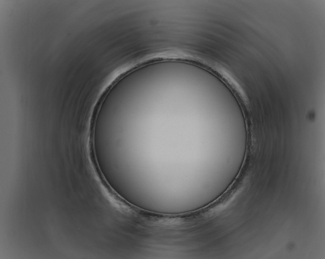 X0000094900845200711291021