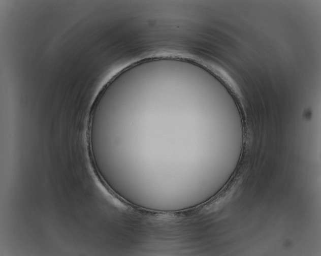 X0000094900847200711291021