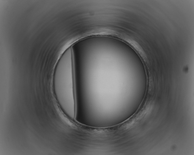X0000094900850200711291021