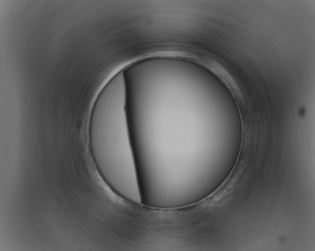 X0000094900852200711291021