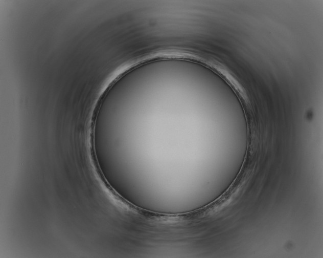 X0000094900853200711291021