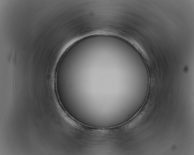 X0000094900854200711291021