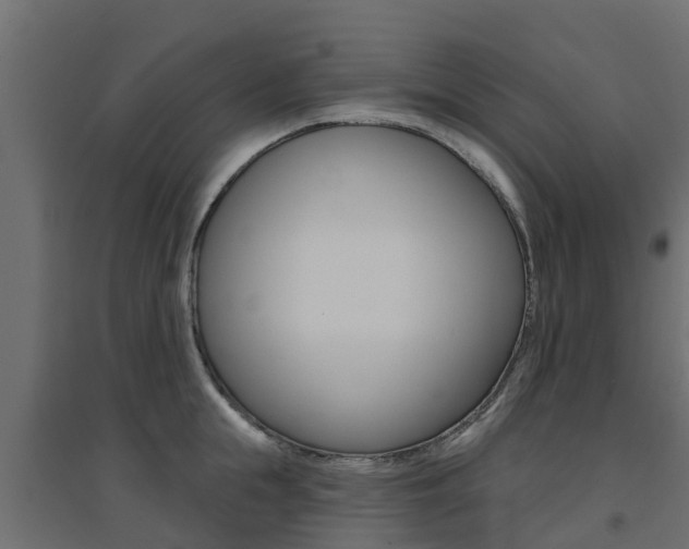 X0000094900855200711291021