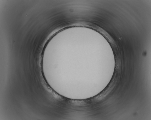 X0000094900856200711291021