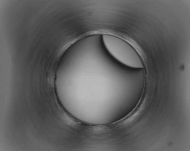 X0000094900857200711291021