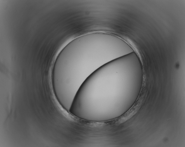X0000094900859200711291021