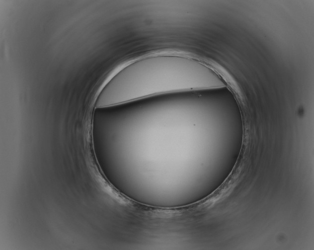 X0000094900860200711291021
