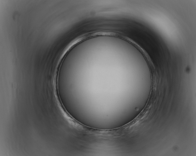 X0000094900861200711291021