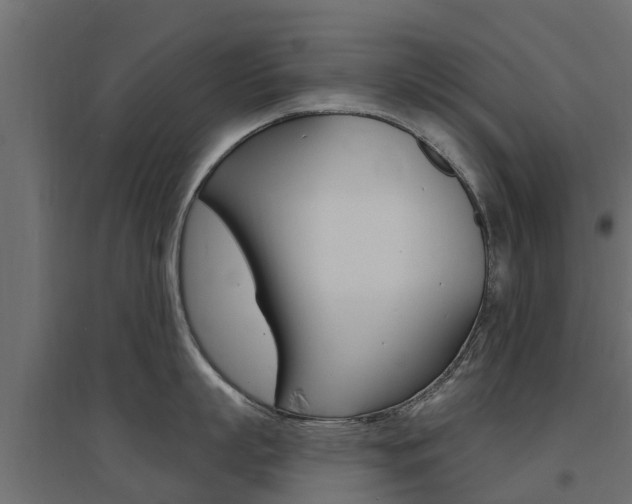 X0000094900863200711291021