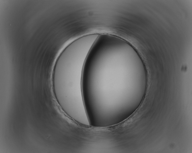 X0000094900864200711291021
