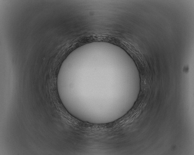 X0000094900865200711291020