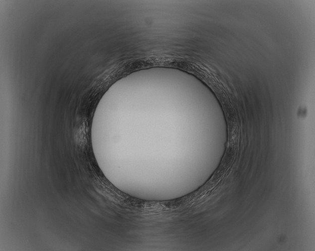 X0000094900866200711291020