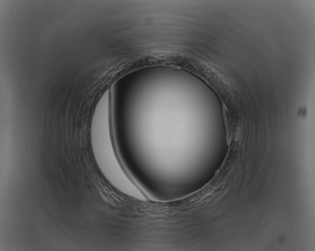 X0000094900868200711291020