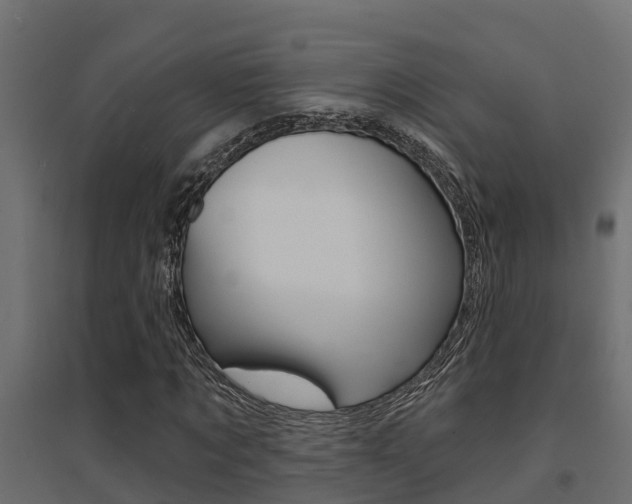 X0000094900869200711291020