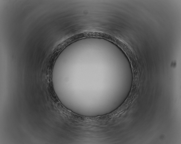 X0000094900870200711291020