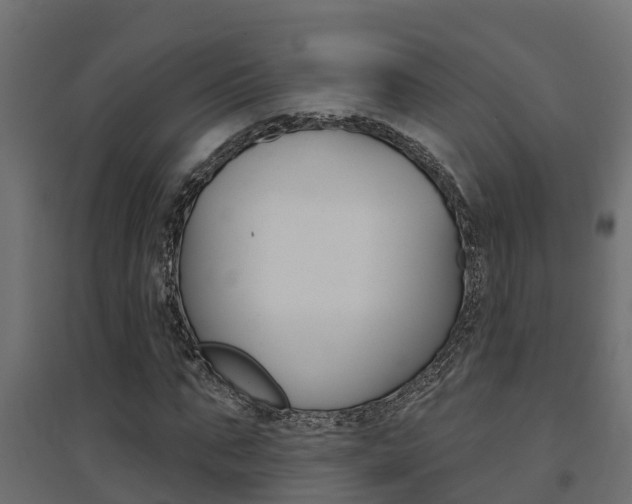 X0000094900871200711291020
