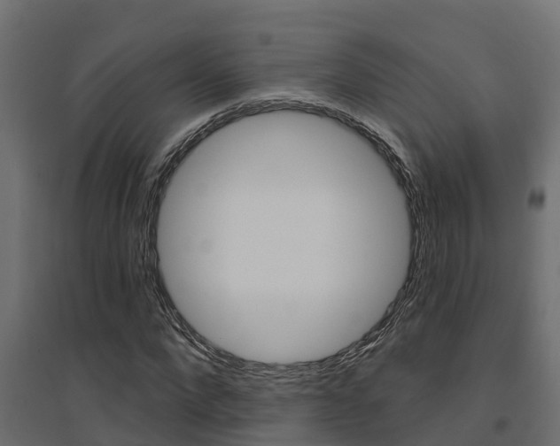 X0000094900872200711291020