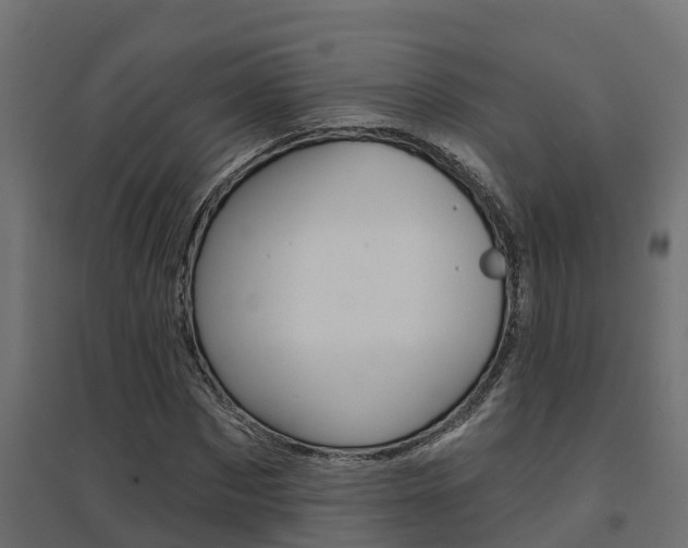 X0000094900873200711291020