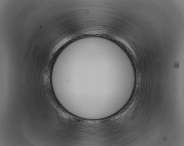 X0000094900874200711291020