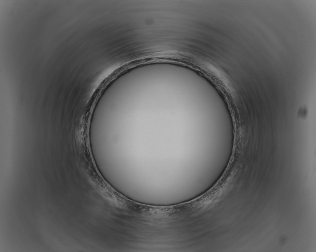 X0000094900875200711291020