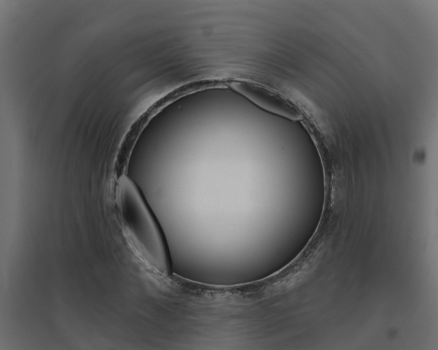 X0000094900876200711291020