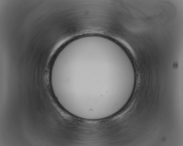 X0000094900878200711291020