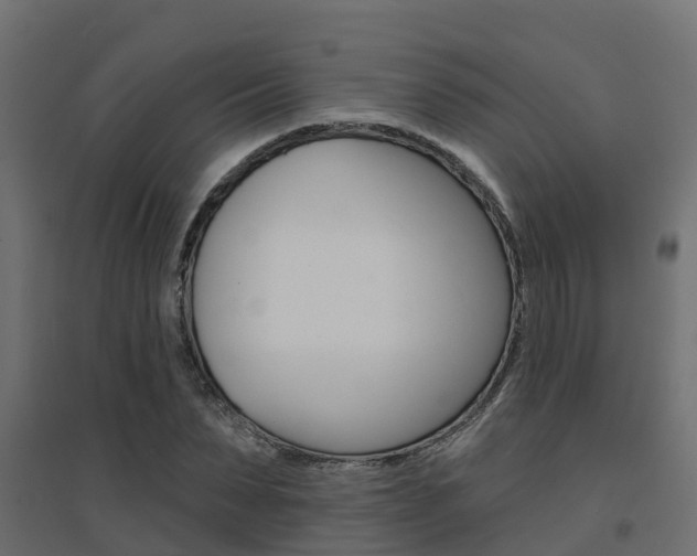 X0000094900879200711291020