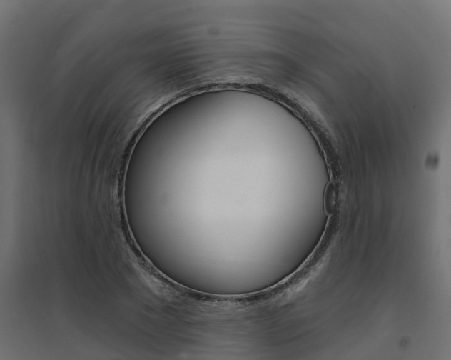 X0000094900881200711291020