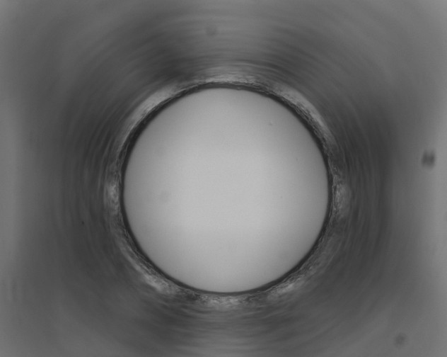 X0000094900882200711291020