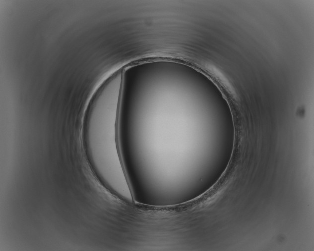 X0000094900884200711291020