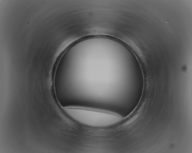 X0000094900885200711291020