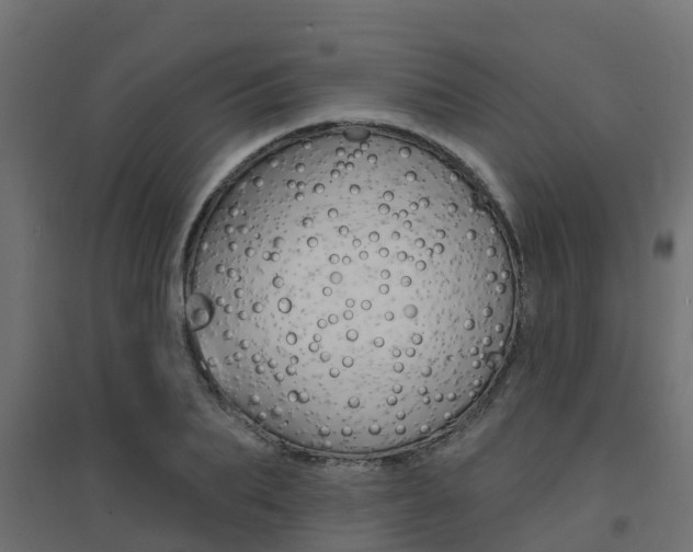 X0000094900887200711291020