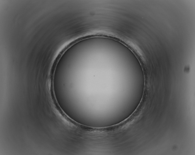 X0000094900888200711291020