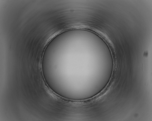 X0000094900889200711291020