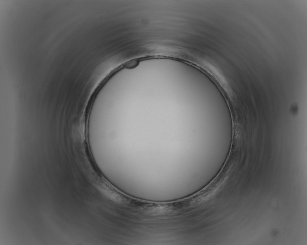 X0000094900891200711291020