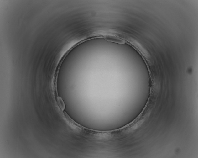 X0000094900893200711291020